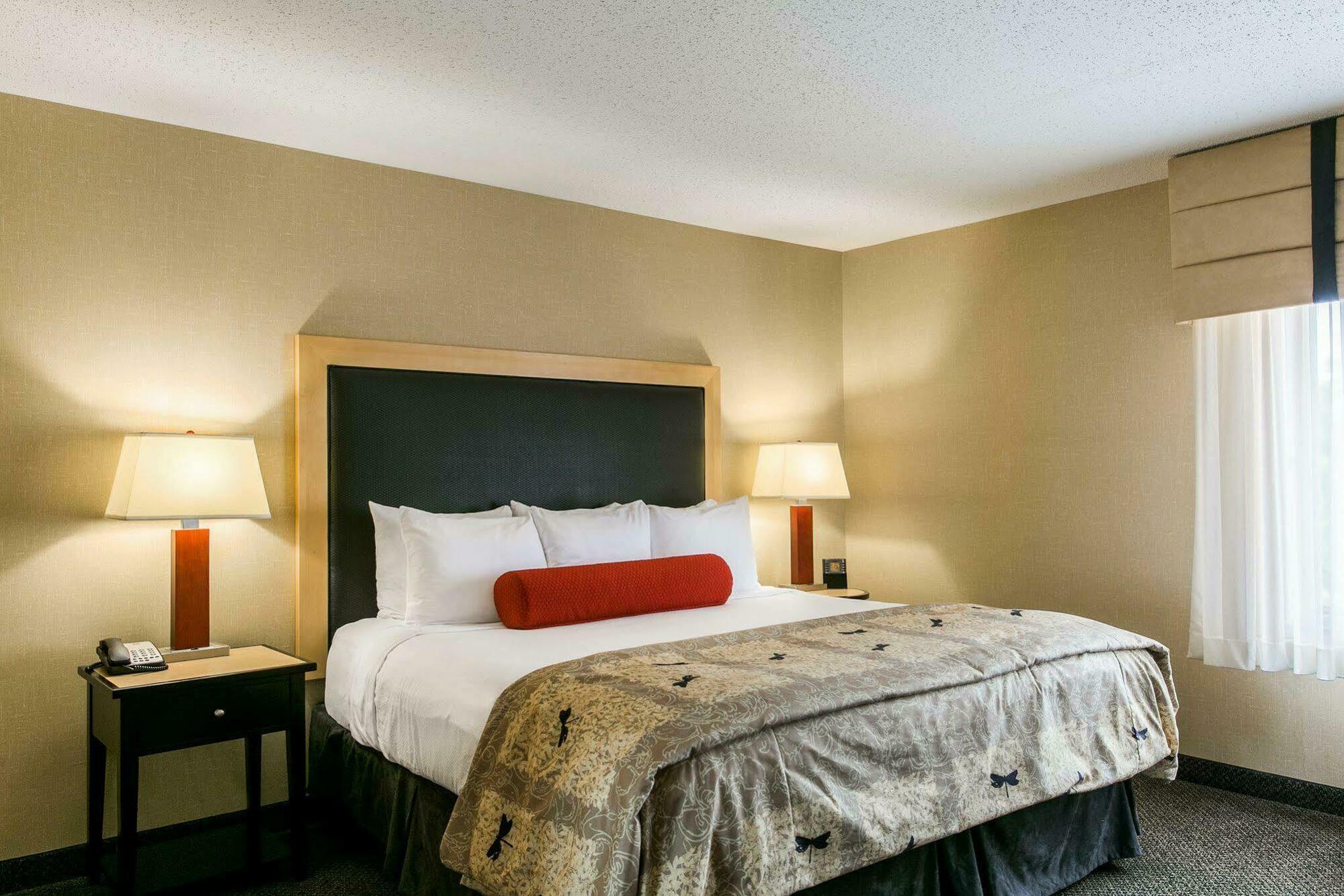 Springhill Suites By Marriott Indianapolis Airport/Plainfield Zewnętrze zdjęcie
